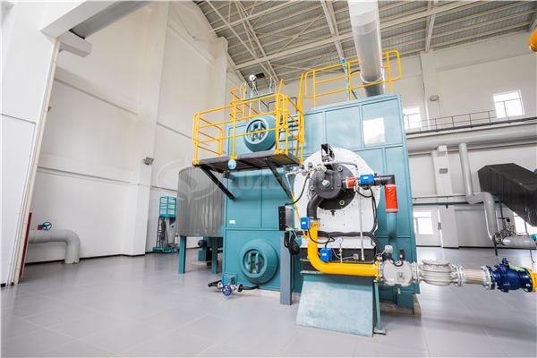 松原江南燃煤鍋爐超低排項(xiàng)目