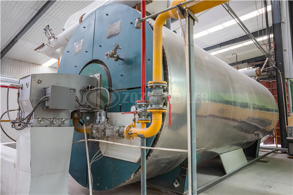 生物質(zhì)鍋爐的種類