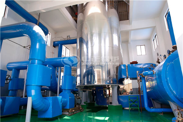 生物質(zhì)燃料鍋爐swgk