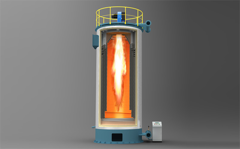 生物蒸氣鍋爐4t實(shí)拍