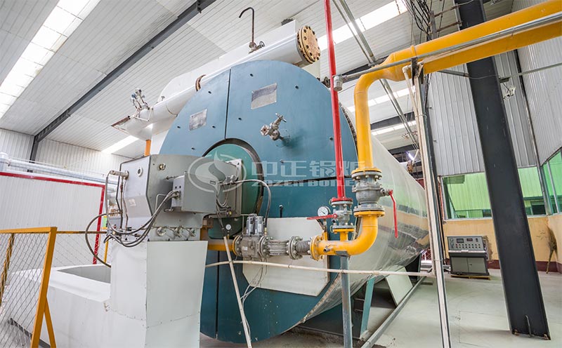 8噸燃?xì)忮仩t價格客戶案例圖片