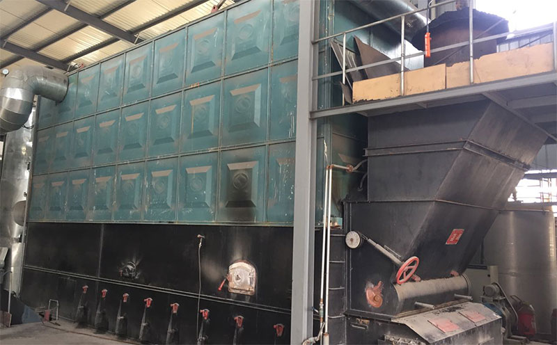 生物蒸氣鍋爐4t客戶案例圖片