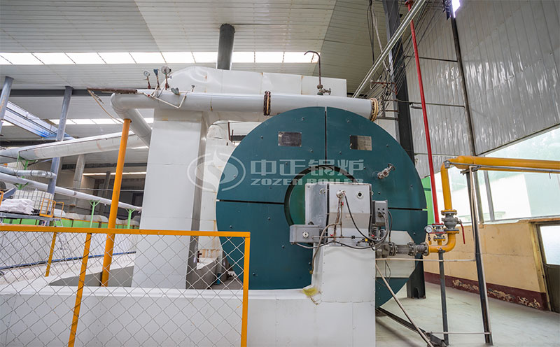 生物質(zhì)鍋爐寧鄉(xiāng)客戶案例圖片