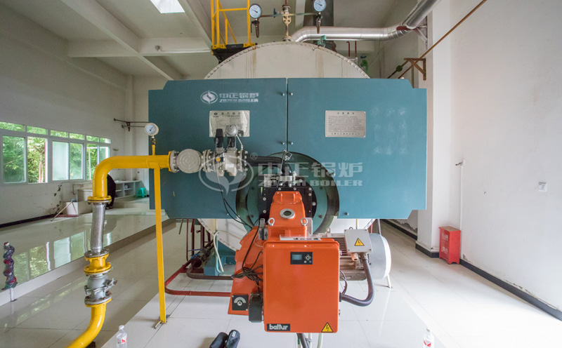 生物質(zhì)鍋爐型號客戶案例圖片