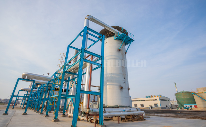 生物蒸氣鍋爐4t客戶案例圖片