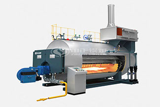 WNS燃?xì)庹羝仩t