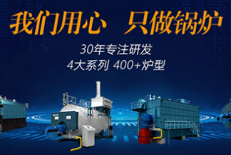 西藏燃?xì)庹羝仩t廠家