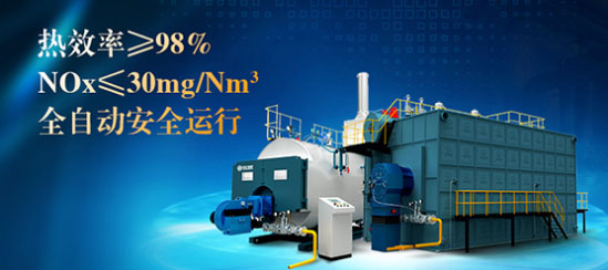 工業(yè)燃?xì)庹羝仩t廠家