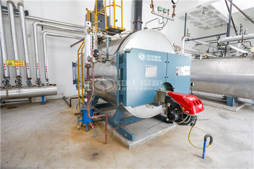 WNS燃?xì)庹羝仩t哪個(gè)更省錢一點(diǎn)