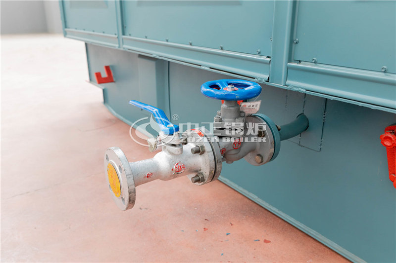 WNS燃?xì)庹羝仩t供應(yīng)