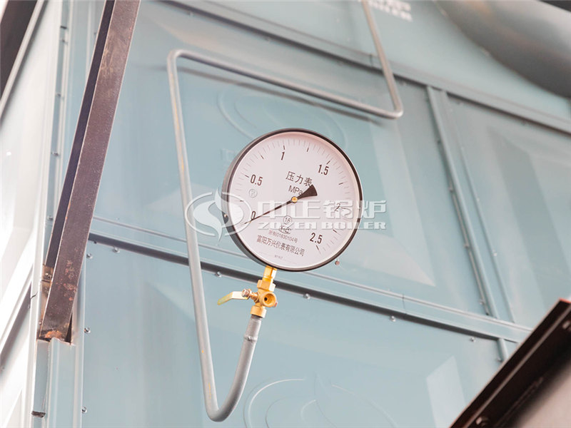 1噸燃?xì)庹羝仩t費(fèi)用