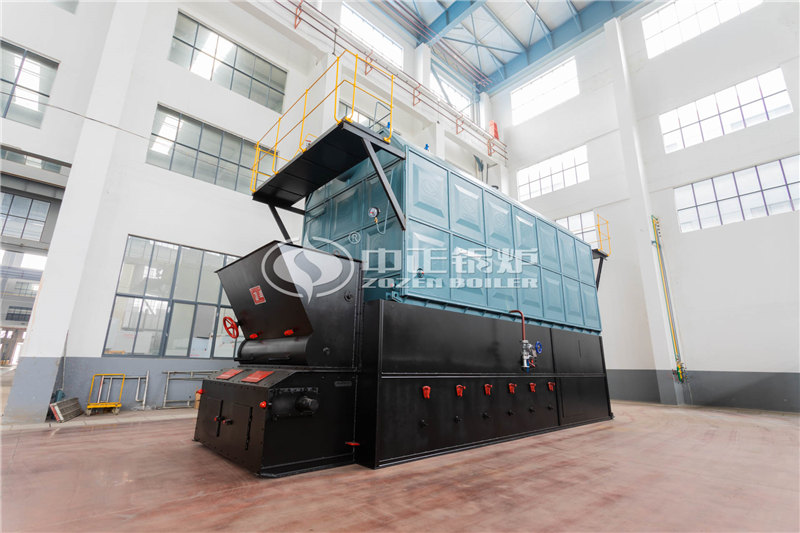 10T燃?xì)庹羝仩t品牌