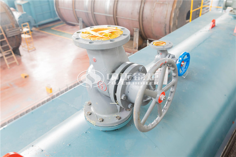 DHX天然氣蒸汽鍋爐便宜嗎