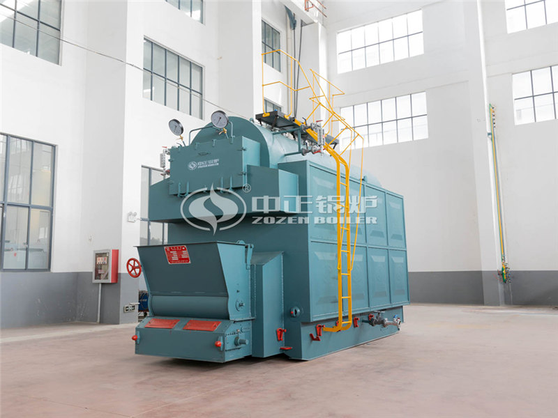 10T燃?xì)庹羝仩t排名