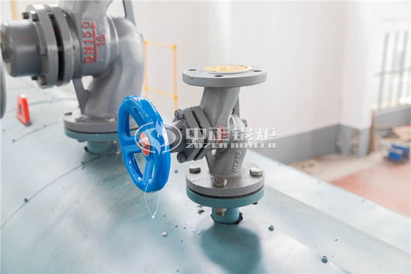 大型燃?xì)庹羝仩t制造商