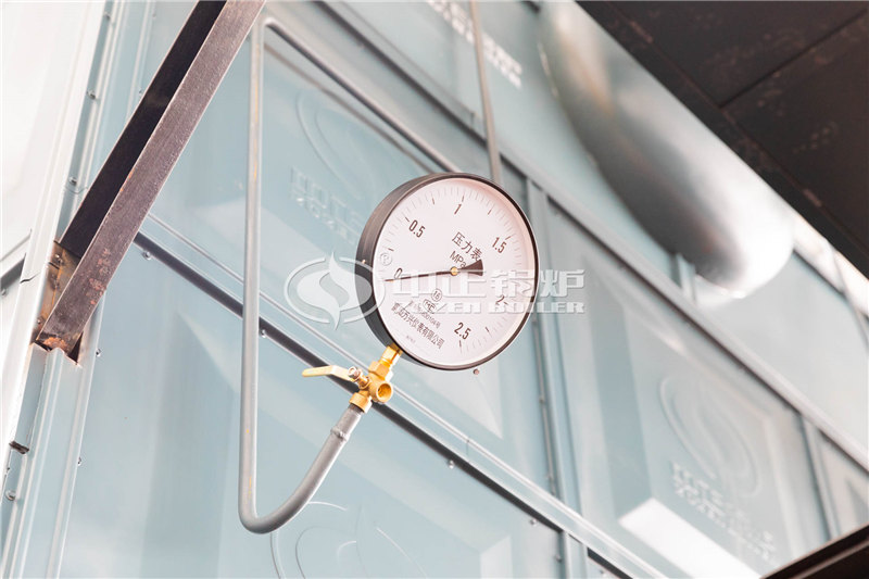 6噸燃氣蒸汽鍋爐供應(yīng)