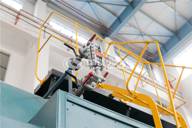 20T燃?xì)庹羝仩t生產(chǎn)廠家